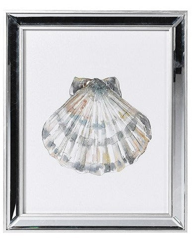 Sea Shell Prints